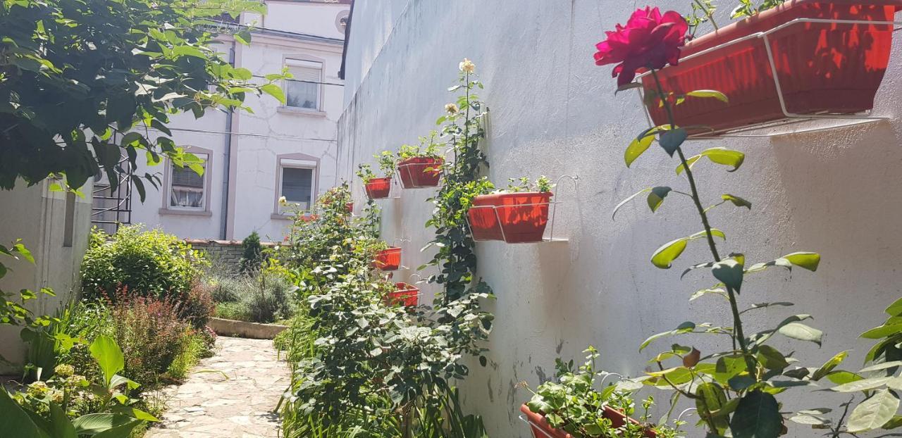 Garden Apartments Belgrado Exterior foto
